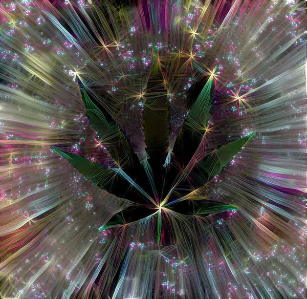 Marihuana Löv Abstrakt Rendering — Stockfoto