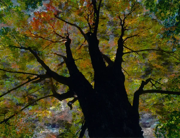 Árvore Abstrata Colorida Renderização — Fotografia de Stock