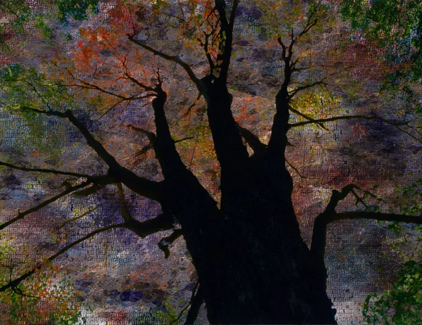 Πολύχρωμο Αφηρημένο Δέντρο Απόδοση — Φωτογραφία Αρχείου