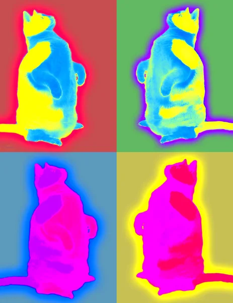 Zabawne Kolorowe Koty Renderowanie — Zdjęcie stockowe