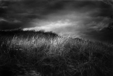 Çimen tarlası. Gökyüzünde fırtına bulutları. 3B görüntüleme