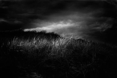 Çimen tarlası. Gökyüzünde fırtına bulutları. 3B görüntüleme