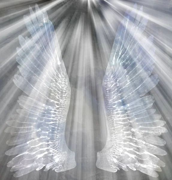 Des Ailes Anges Lumière Rendu — Photo