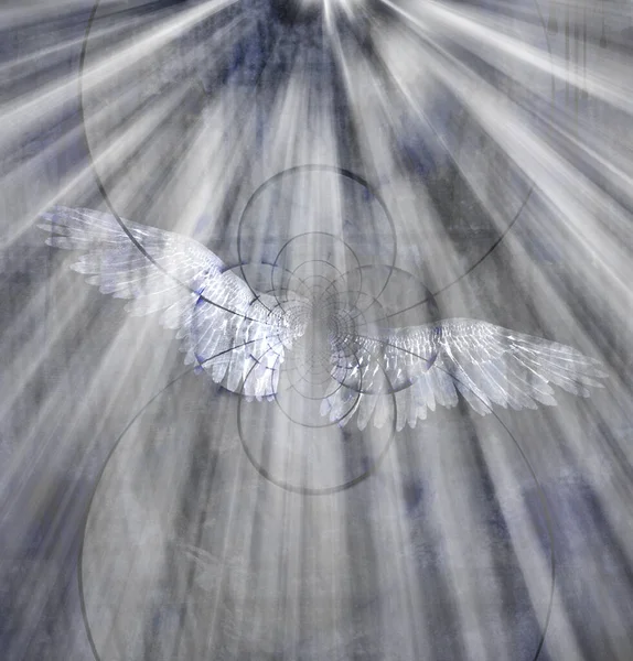 Φτερά Αγγέλων Και Φως Απόδοση — Φωτογραφία Αρχείου