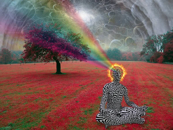 Nsan Lotus Meditasyon Yapar Gerçeküstü Bir Ortamda Poz Verir — Stok fotoğraf