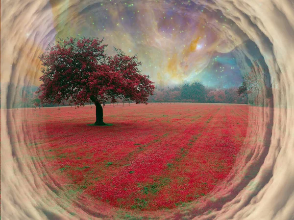 Árbol Rojo Paisaje Surrealista Renderizado — Foto de Stock