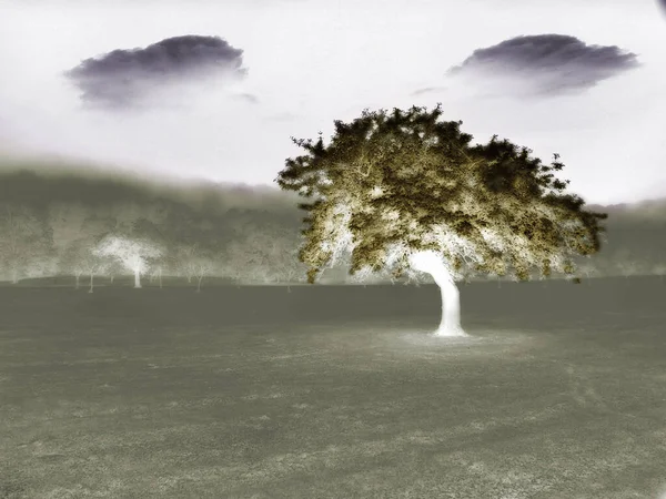 Einsamer Baum Surrealen Feld — Stockfoto