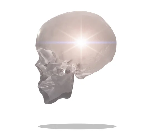Kristal Insan Kafatası Görüntüleme — Stok fotoğraf