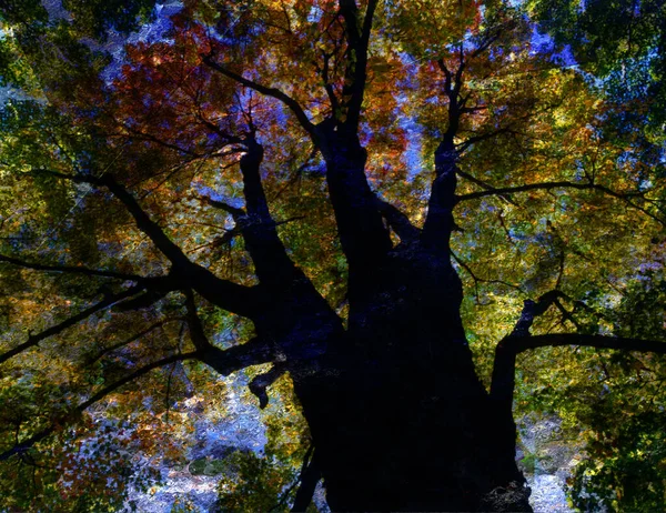 Árbol Abstracto Colorido Renderizado —  Fotos de Stock