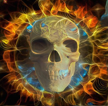 İnsan kafatası resmi. 3B görüntüleme