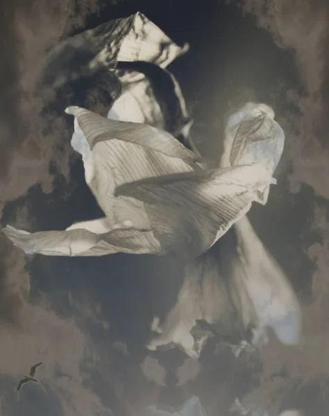 Современное Искусство Белый Увядший Цветок Рендеринг — стоковое фото