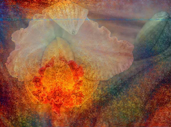 Iris Flower Vivid Abstract Painting Rendering — Stock Photo, Image