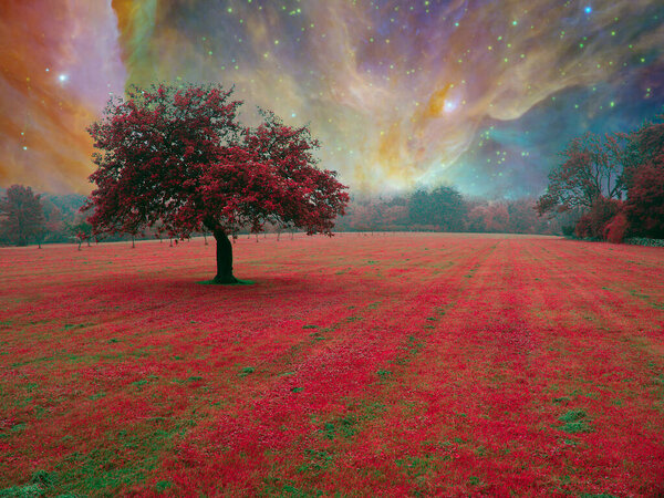 Red tree in surreal landscape. 3D rendering