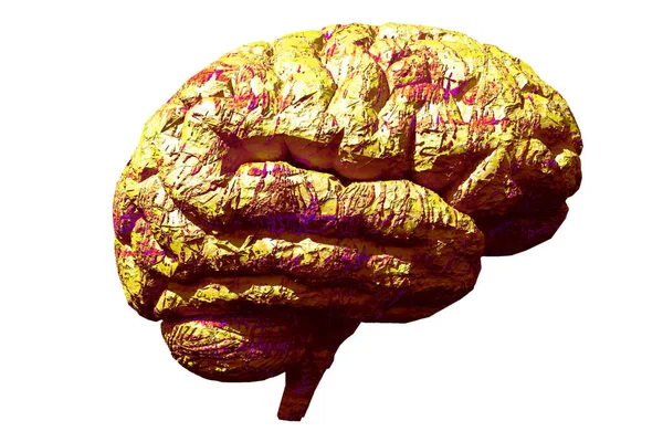 人脑模型 3D渲染 — 图库照片