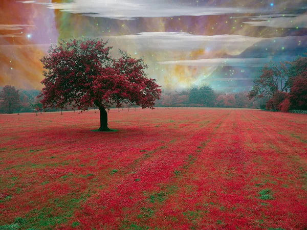 Albero Rosso Nel Paesaggio Surreale Rendering — Foto Stock