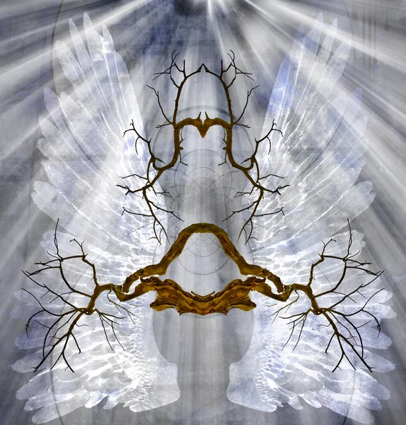 Коріння Крила Ангелів Візуалізація — стокове фото