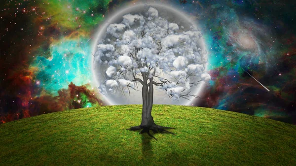 Surrealistische Natuur Boom Met Wolken Weergave — Stockfoto