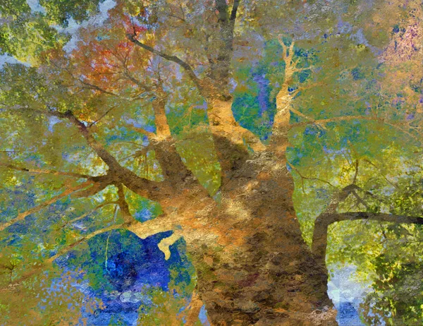 Árvore Abstrata Colorida Renderização — Fotografia de Stock