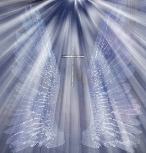 천사의 날개와 렌더링 — 스톡 사진