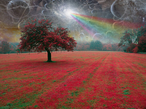 Surreal landscape with red tree. 3D rendering