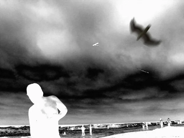 Paesaggio Balneare Silhouette Umane Uccelli Nel Cielo Rendering — Foto Stock