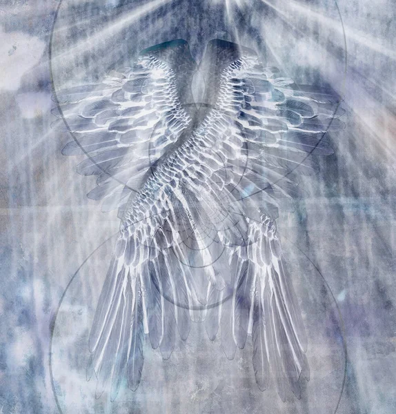 Art Noir Moderne Angel Wings Rendu — Photo