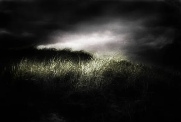 Field Grass Storm Clouds Sky Rendering — Stock Photo, Image