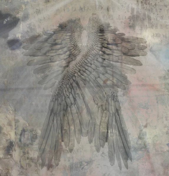 Modern Dark Art Angel Wings Rendering — Stock Photo, Image