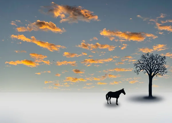 Horse Tree Surreal Art — Stock Photo, Image