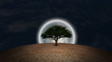 Sürrealizm. Kurak topraklarda yeşil ağaç. Gece gökyüzünde dolunay.