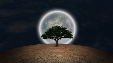 Sürrealizm. Kurak topraklarda yeşil ağaç. Gece gökyüzünde dolunay.