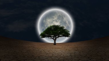 Sürrealizm. Kurak topraklarda yeşil ağaç. Gece gökyüzünde dolunay.