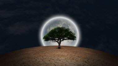 Sürrealizm. Kurak topraklarda yeşil ağaç. Gece gökyüzünde dolunay.