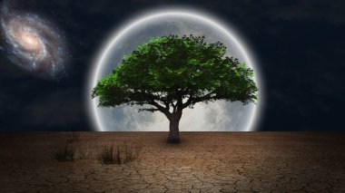 Sürrealizm. Kurak topraklarda yeşil ağaç. Dolunay ve galaksi gece gökyüzünde.