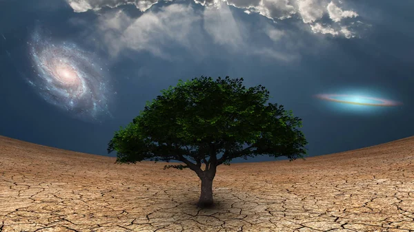 Surrealism Green Tree Arid Land Galaxies Blue Sky — Stock Photo, Image