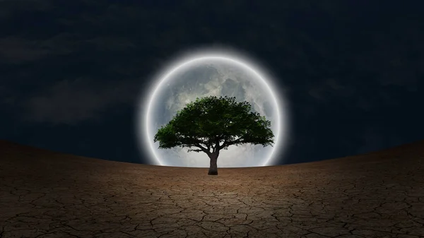 Surrealismus Zelený Strom Vyprahlé Zemi Úplněk Noční Obloze — Stock fotografie