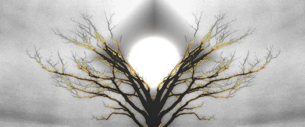 神秘的な生命の木 太陽光 — ストック写真
