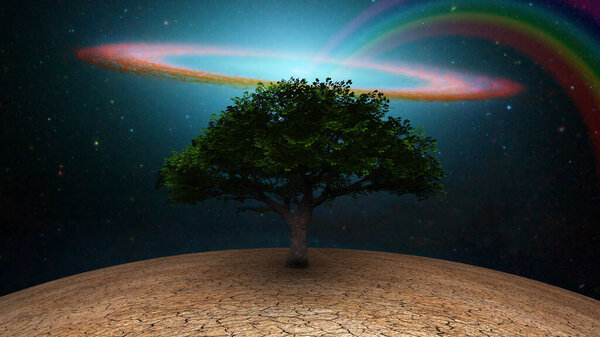 Surrealism. Green tree in arid land. Galactic disk and rainbow in night sky.