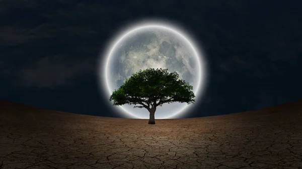 Surrealismo Árbol Verde Tierra Árida Luna Llena Cielo Nocturno — Foto de Stock