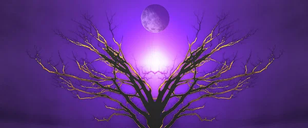 生命の神秘的な木 空には月 夕日や日の出 — ストック写真