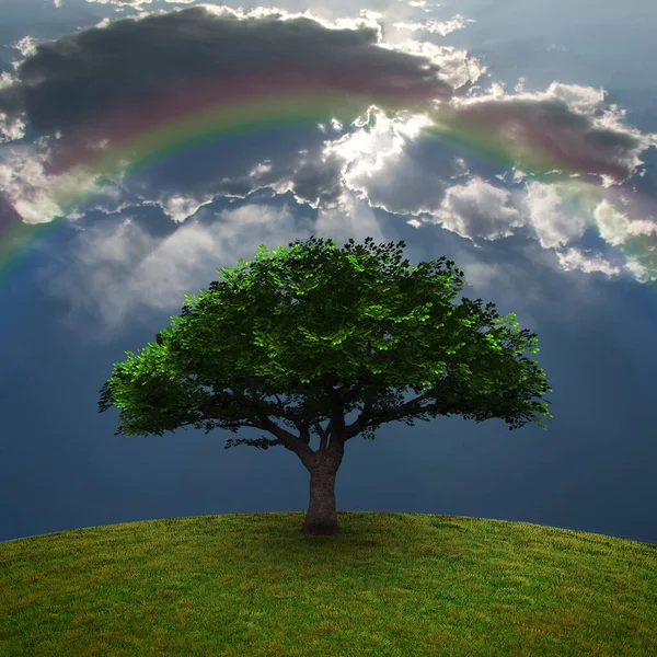 Gröna Trädet Dramatiska Moln Och Regnbåge Rendering — Stockfoto