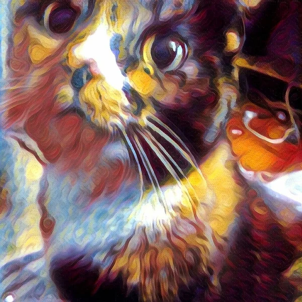 Arte Moderno Lindo Gato Con Ojos Redondos — Foto de Stock
