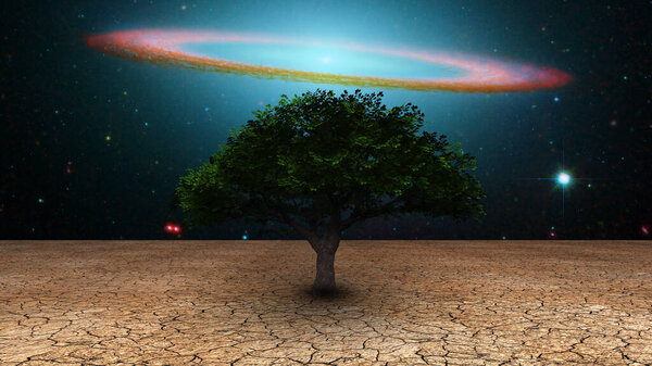 Surrealism. Green tree in arid land. Galactic disk in night sky.