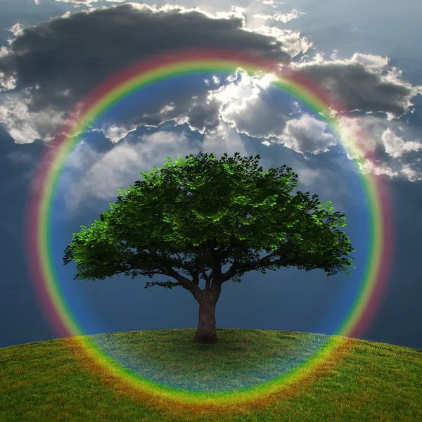 Πράσινο Δέντρο Δραματικά Σύννεφα Και Ουράνιο Τόξο Απόδοση — Φωτογραφία Αρχείου
