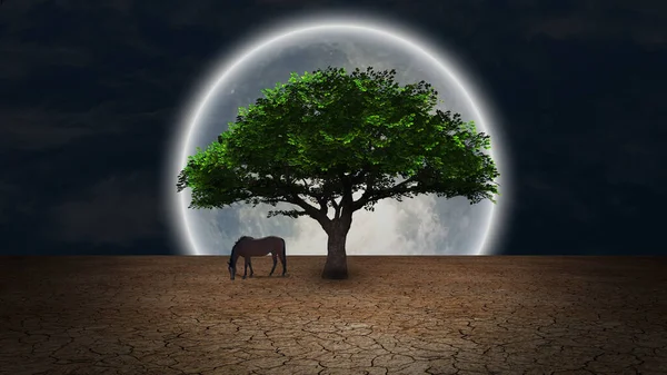 Surrealismo Cavalo Pastoreia Perto Árvore Verde Terra Árida Lua Cheia — Fotografia de Stock