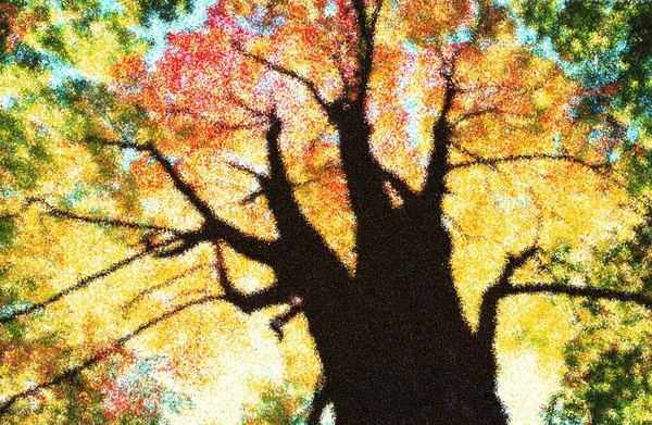 Impressionismo Coroa Árvore Com Folhas Coloridas — Fotografia de Stock
