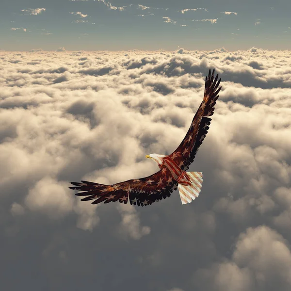 Eagle Flies Clouds — Stock Photo, Image