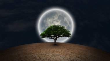 Sürrealizm. Kurak topraklarda yeşil ağaç. Gece gökyüzünde dolunay.