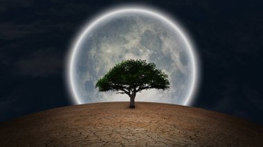 Sürrealizm. Kurak topraklarda yeşil ağaç. Gece gökyüzünde dolunay.