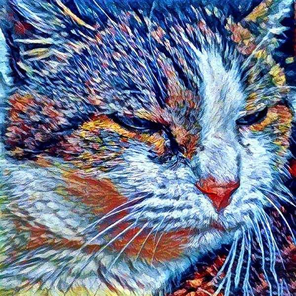 Moderne Kunst Zieke Kat Close — Stockfoto